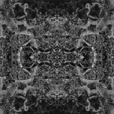 Abstract