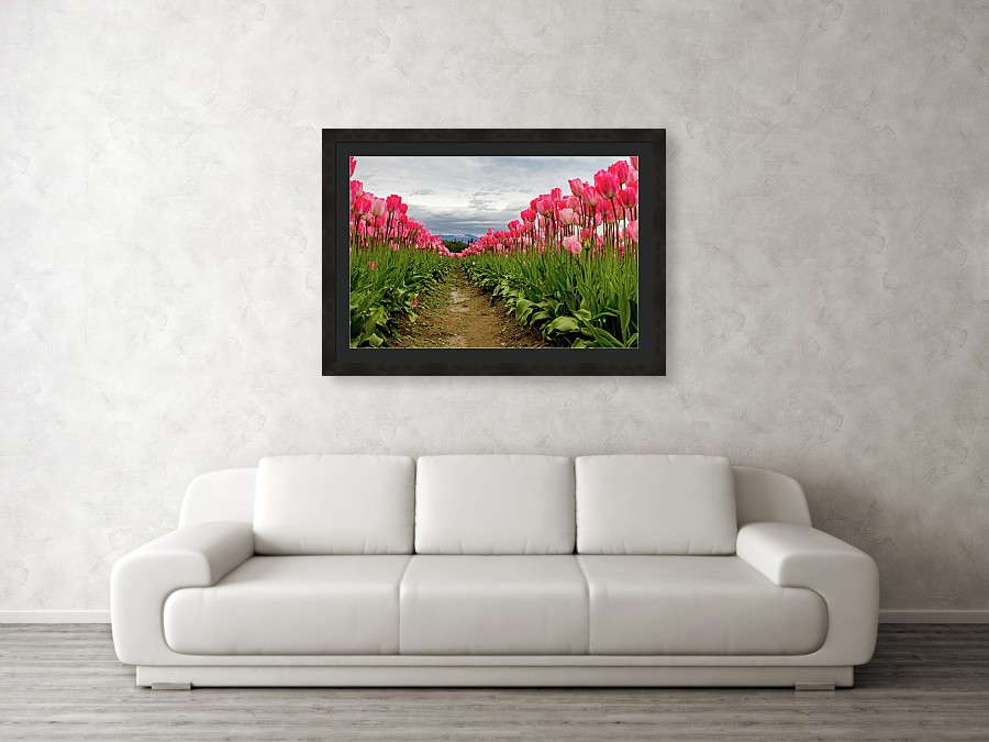 in-the-pink-tulip-field-wall sofa